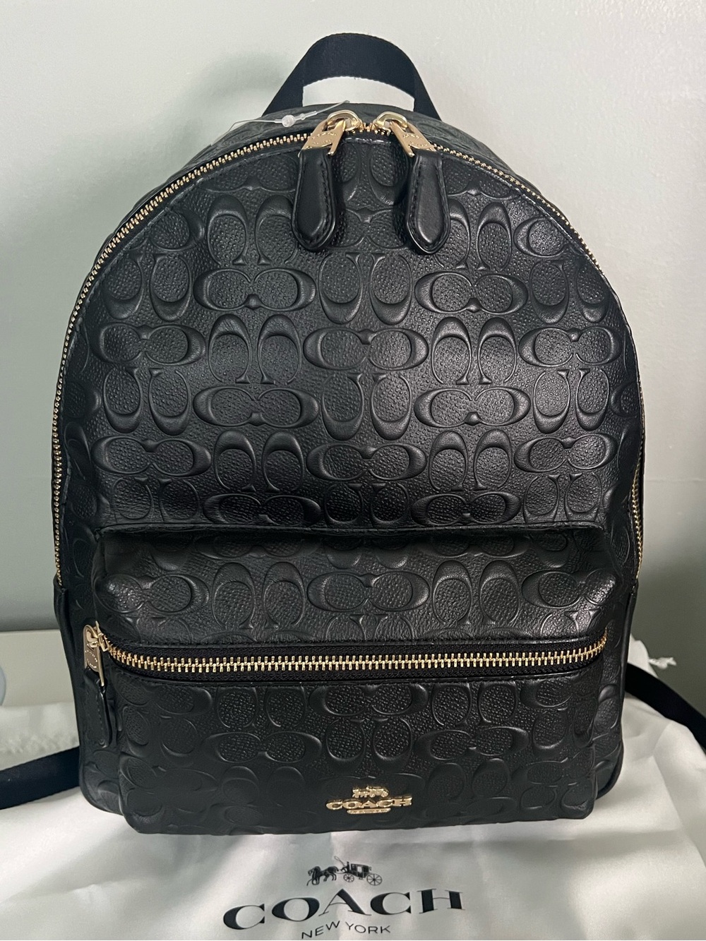 Coach Medium Charlie Backpack
In Signature Leather